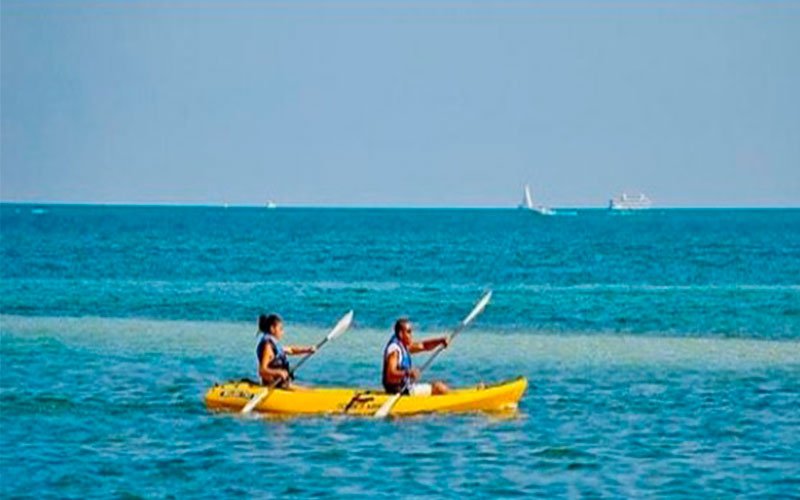 Kayaking and marine ecosystem